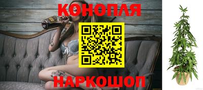 крисы Волжский