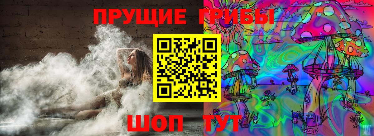 Усть-Лабинск  Галлюциногенные грибы Cubensis  Псилоцибиновые грибы прущие грибы  Вход с VPN 